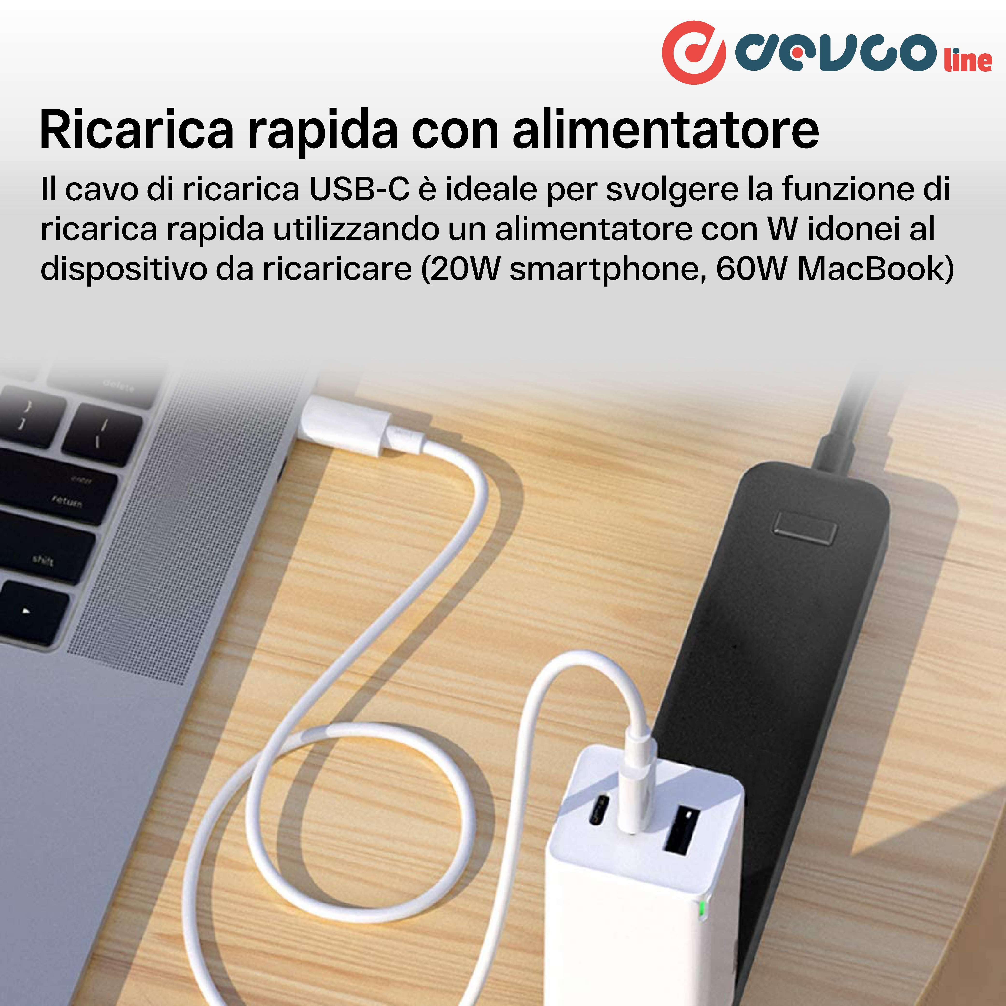 USB cable two connectors USB-C 1 meter - DEVCOline - AT CR 2TC1