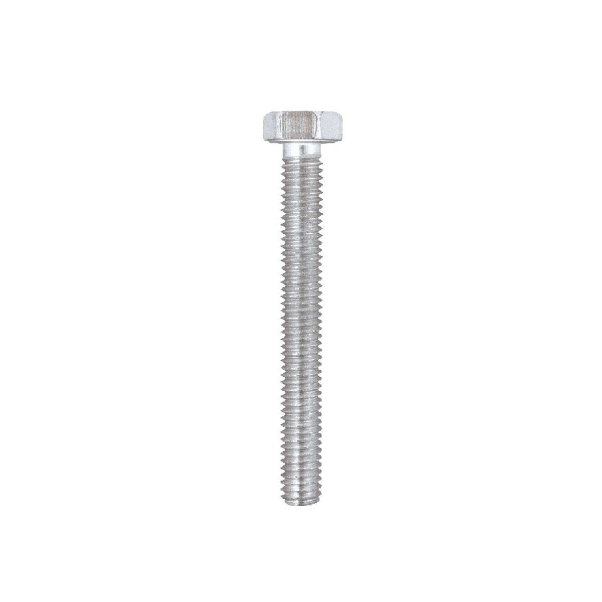 Straight galvanised white plate 80 pcs. - 80303b Friulsider
