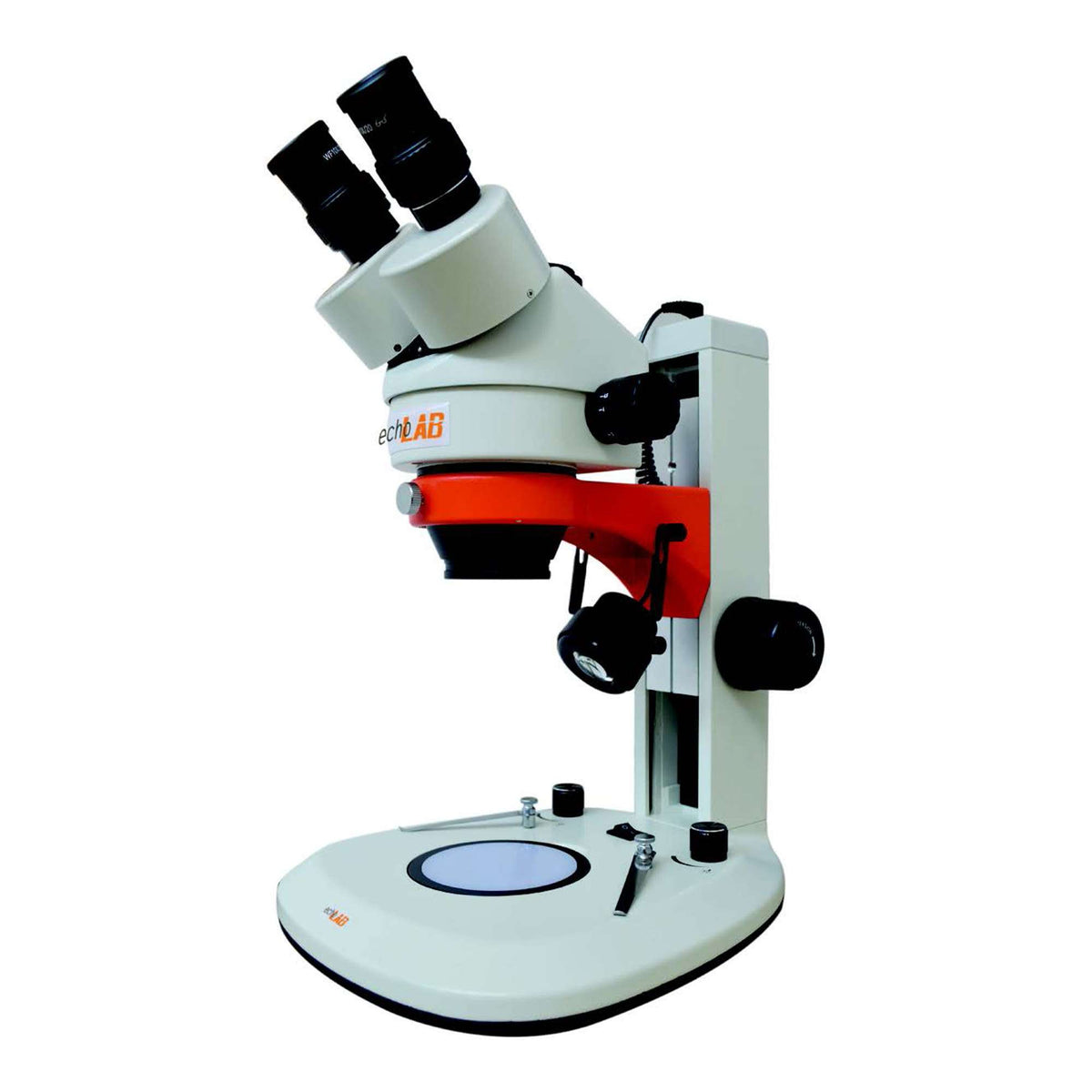 Trinoculares Stereomikroskop mit Greenough-Stereokopf, Okular H WF 10x (20 mm) – echoLAB