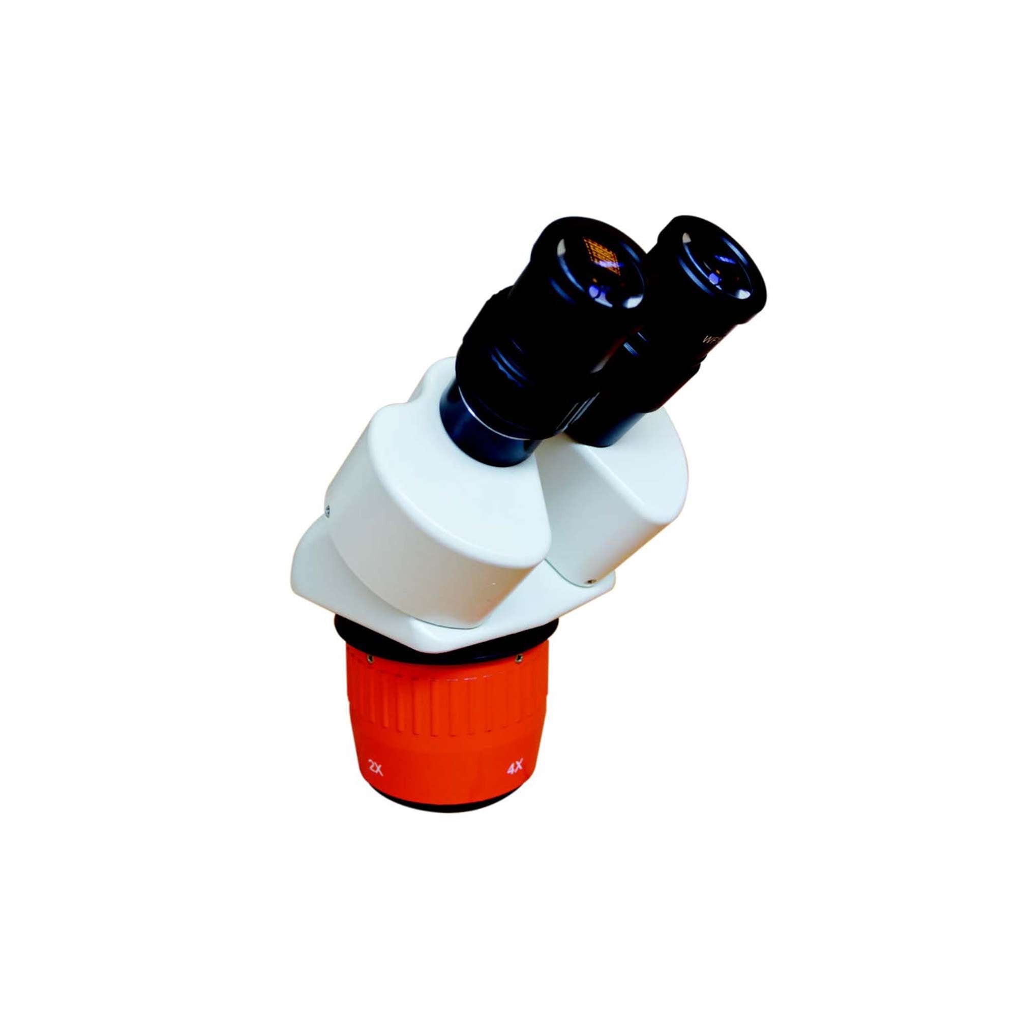 Stereo microscope binocular head, turret type objective 2x/4x - 1x/3x - echoLAB