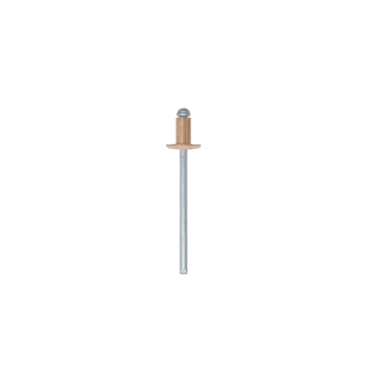 Aluminium rivet with large head 50pcs/bl - 10pcs - Friulsider