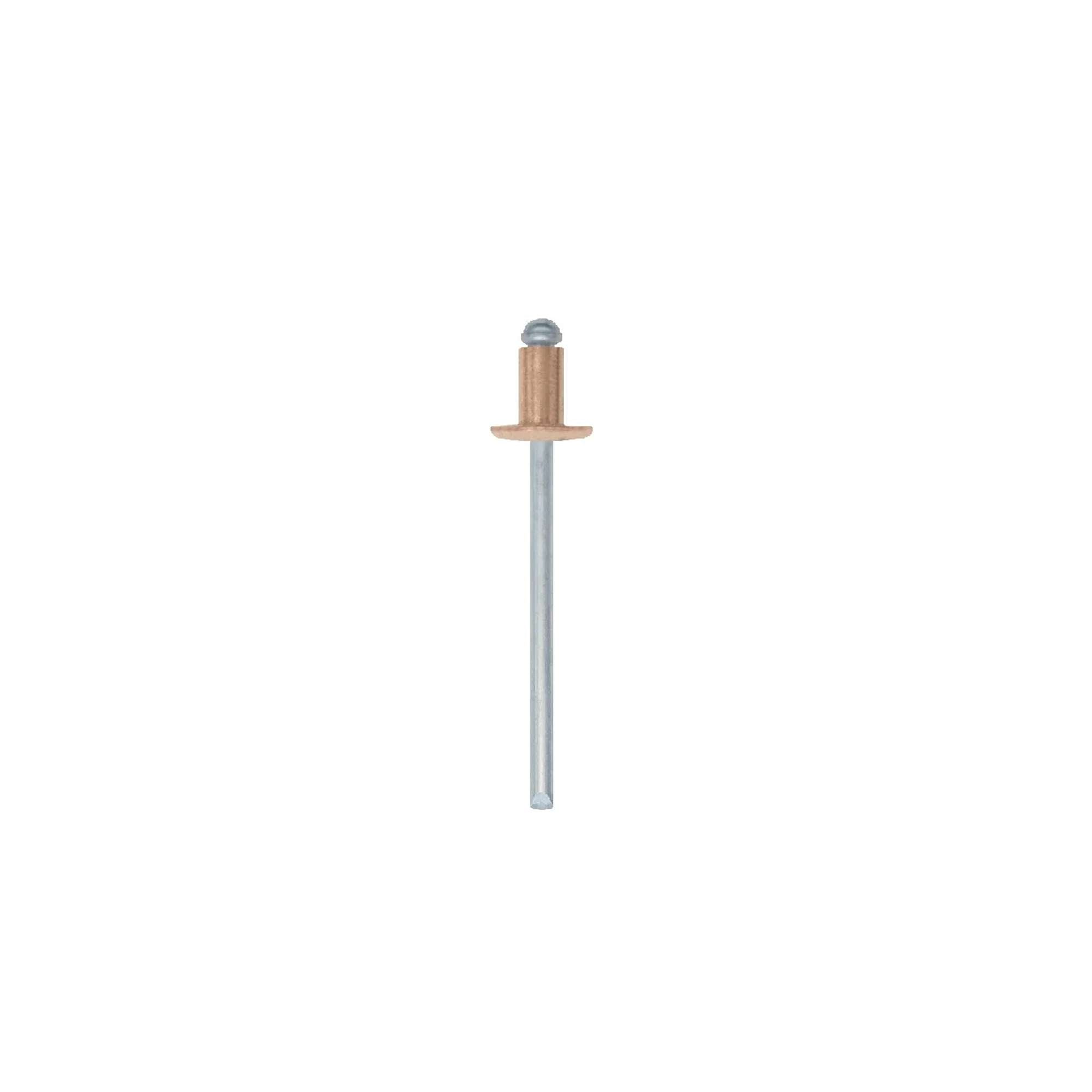 Copper rivet eBL-FM-Rivex 100pcs/bl pack.10pcs - Friulsider